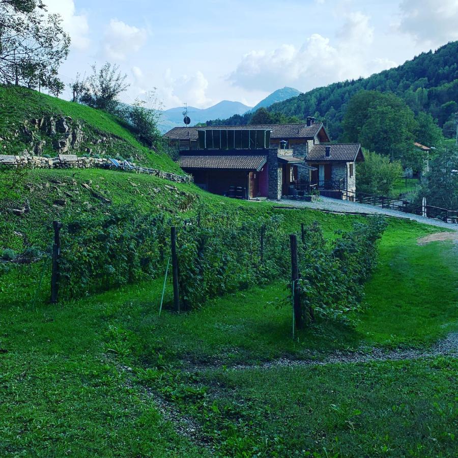 Agriturismo Il Talento Nella Quiete Castiglione dʼIntelvi Exterior foto