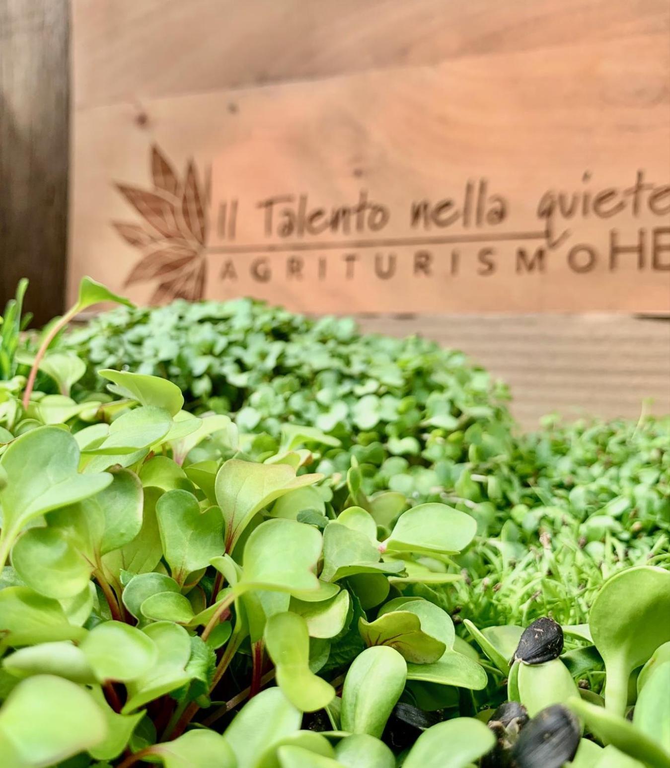 Agriturismo Il Talento Nella Quiete Castiglione dʼIntelvi Exterior foto