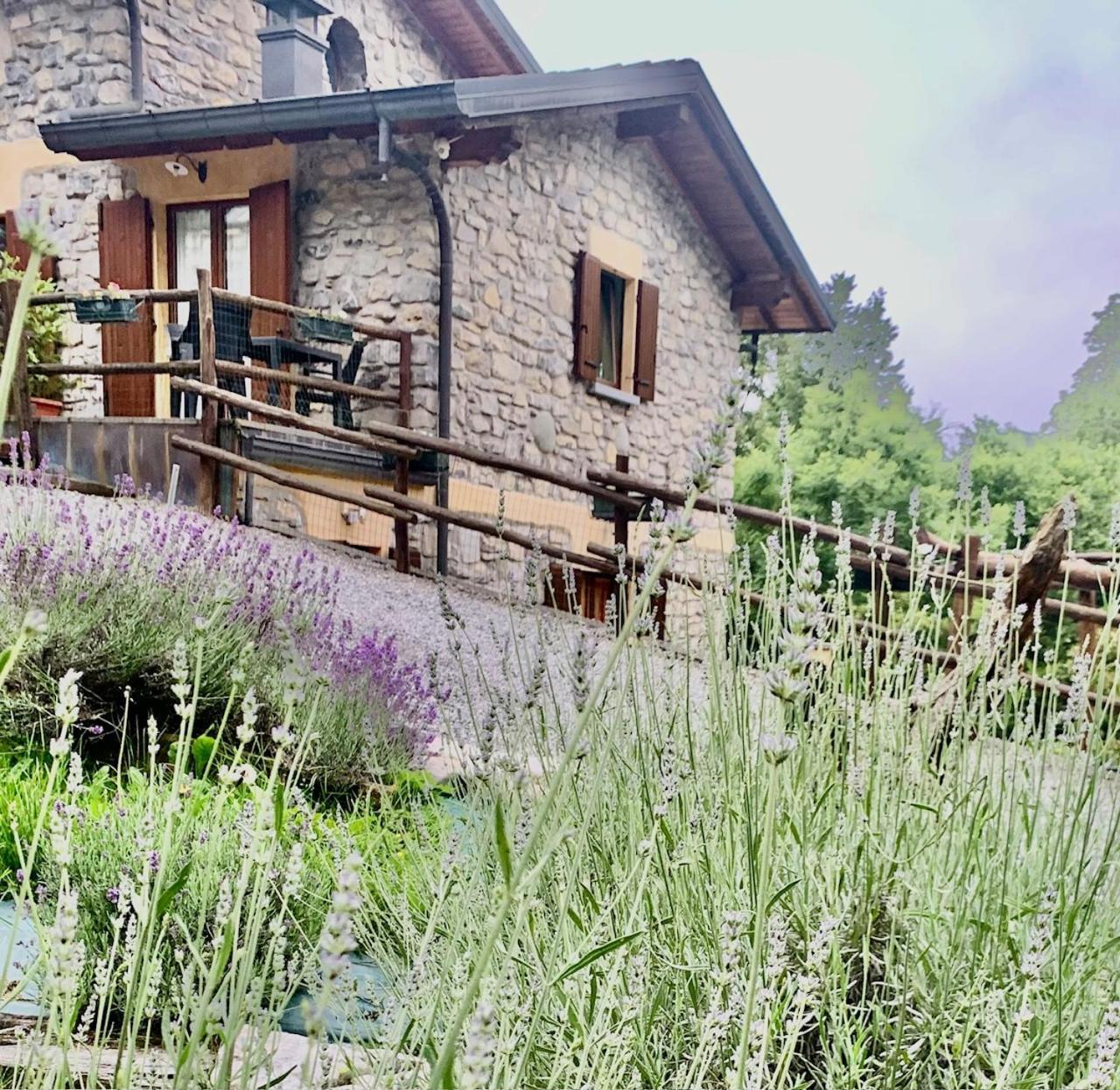 Agriturismo Il Talento Nella Quiete Castiglione dʼIntelvi Exterior foto